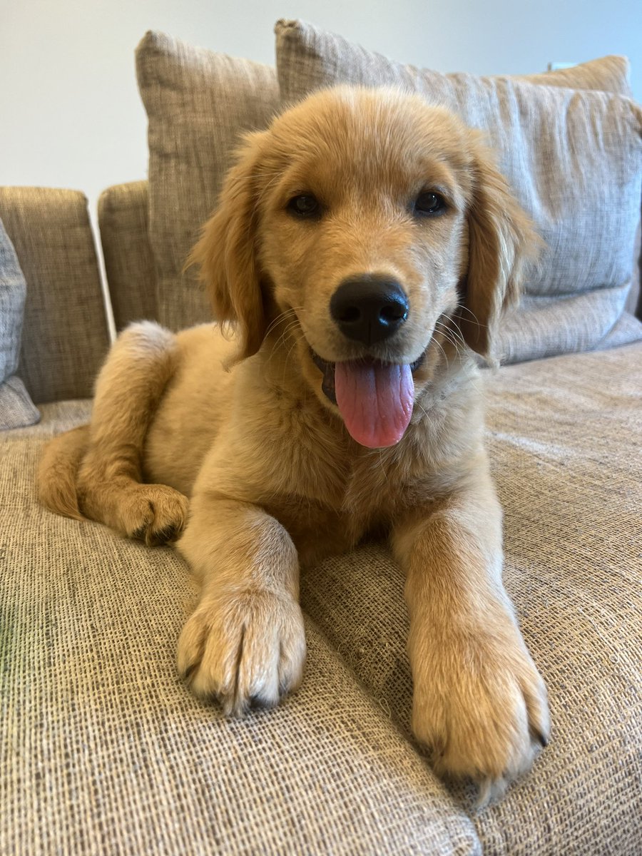 TypicalGamer's tweet photo. he’s growing up so fast 🥹 https://t.co/0xmfweRxU1