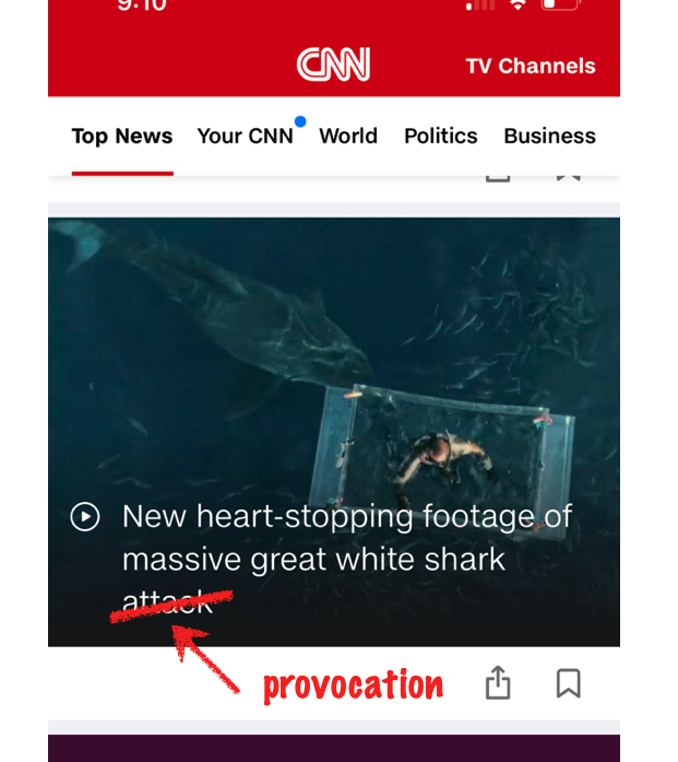 Attack or provocation? Aren't we supposed to be about decriminalizing these creatures? <a href="/CNN/">CNN</a> <a href="/Discovery/">Discovery</a> #SharkWeek
