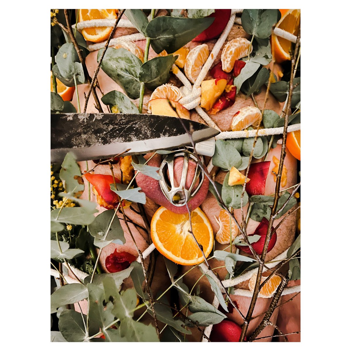 𝕄𝕤 𝔼𝕤𝕥𝕖𝕝𝕝𝕖 𝕃𝕖𝕠𝕟 on Twitter: