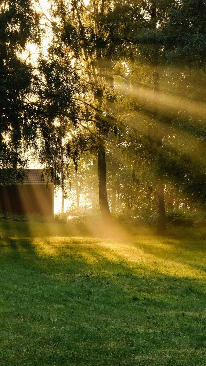 I'll see you in the sunlight.I'll here your voice everywhere.