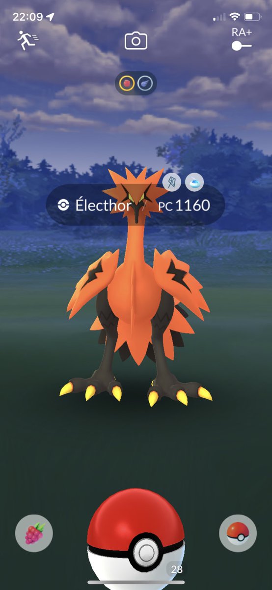 GOFieldGuideApp's tweet photo. #GalarLegendaryBirds are appearing from the Daily Adventure Incense, have you encountered one?

#PokemonGO https://t.co/RB29W086GF