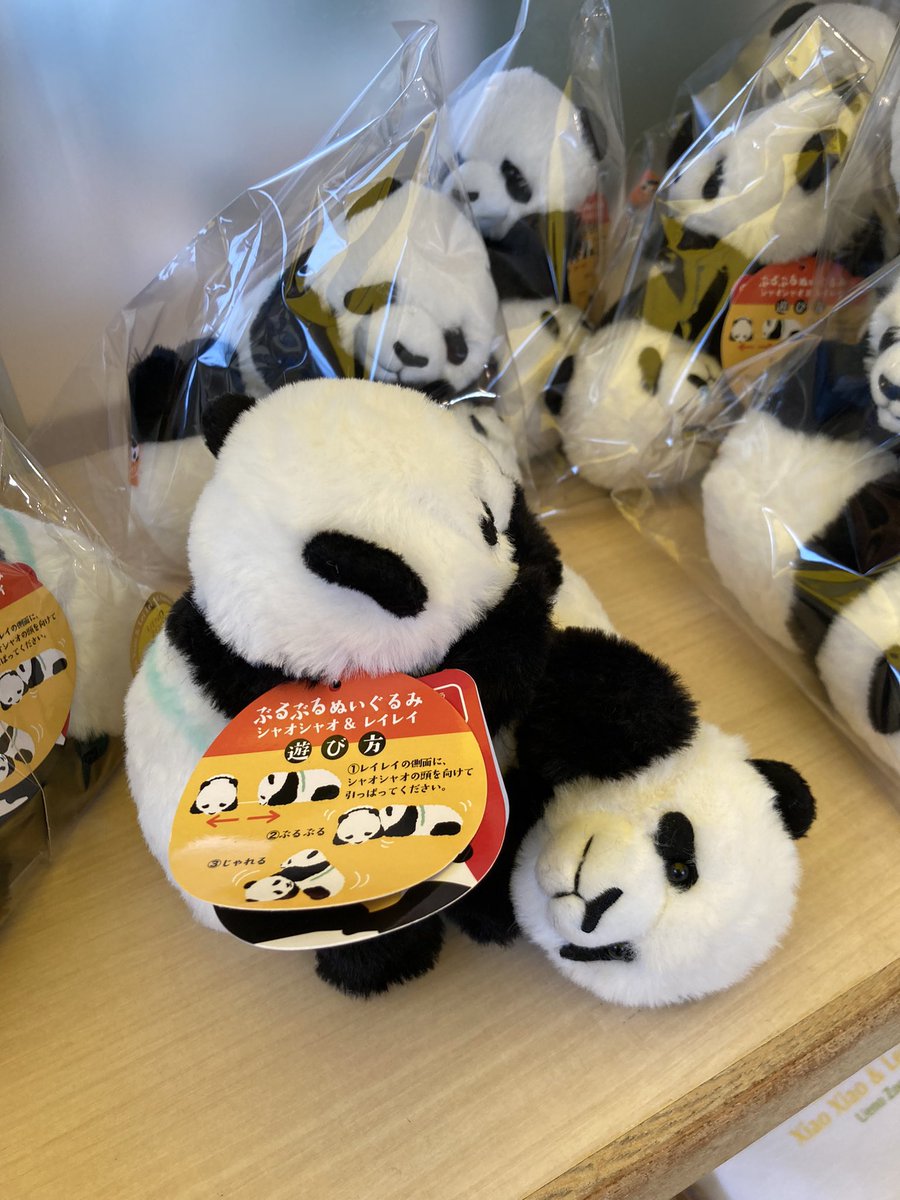 上野動物園 シャオシャオ レイレイほんとの大きさパンダの仔 暁暁 蕾蕾