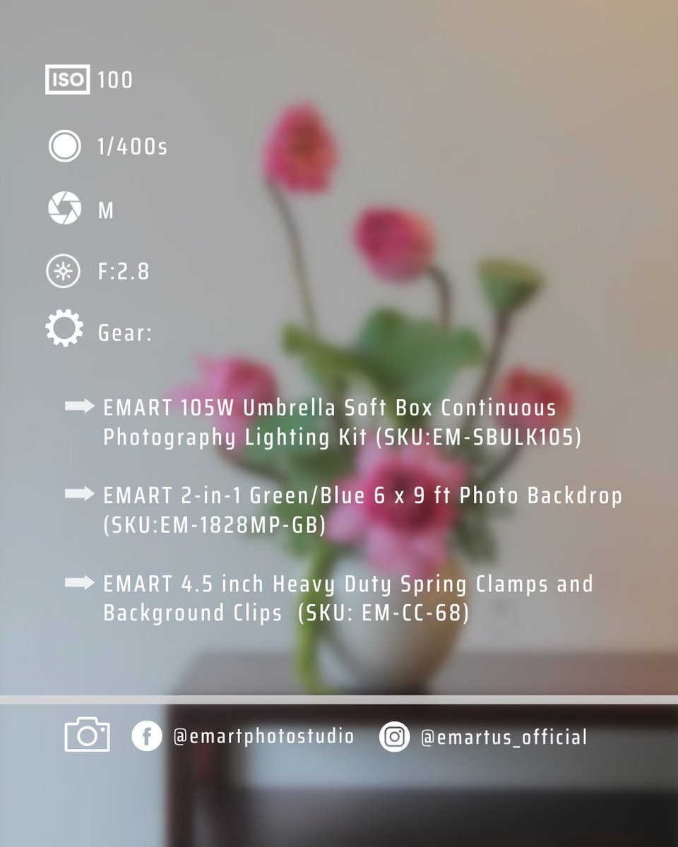 emartus_inc's tweet image. 📸Photo by: @emartus_inc
🎞ISO 100
⏳1/400
⭕F:2.8
____________________
#EMARTUS #flower #flowers #nature #photography #flowerstagram #naturephotography #flowerphotography #flowervases #florerosartesanales #flowerarrangement #allkindofflowers #Lotus