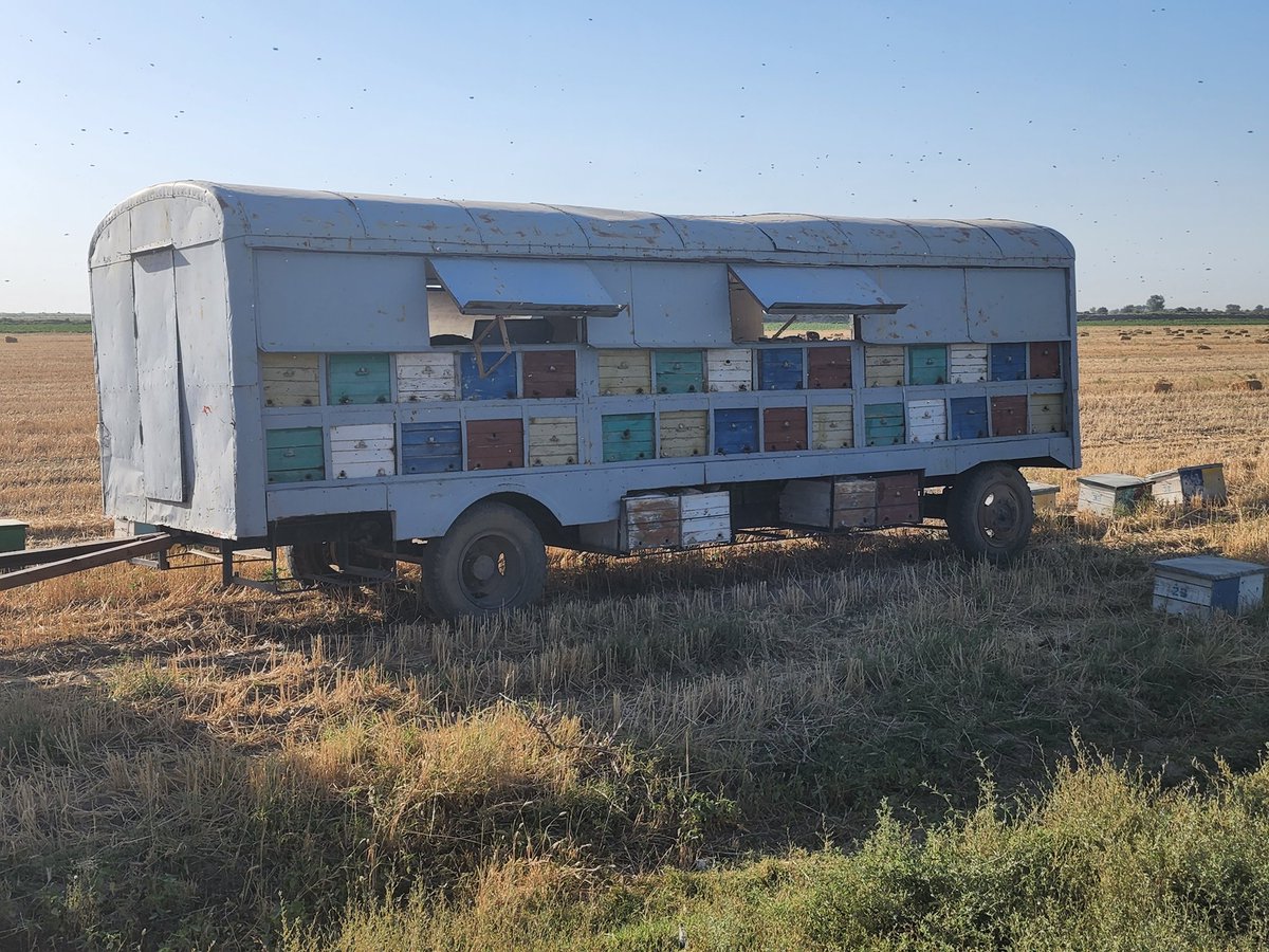 Derek de Stacpoole tweet media