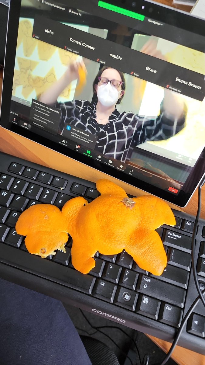 GISTspace's tweet photo. Getting remote students involved in courses that are delivered both in person and online can be tough - so grateful for this remote student who provided proof they were following along on the projections lecture!!
#remoteteaching #AcademicLife #GISTeaching #dualdelivery #Teaching https://t.co/Vg9QqIappu