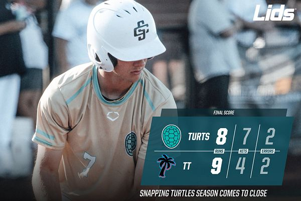Snapping Turtles | Lids tweet media