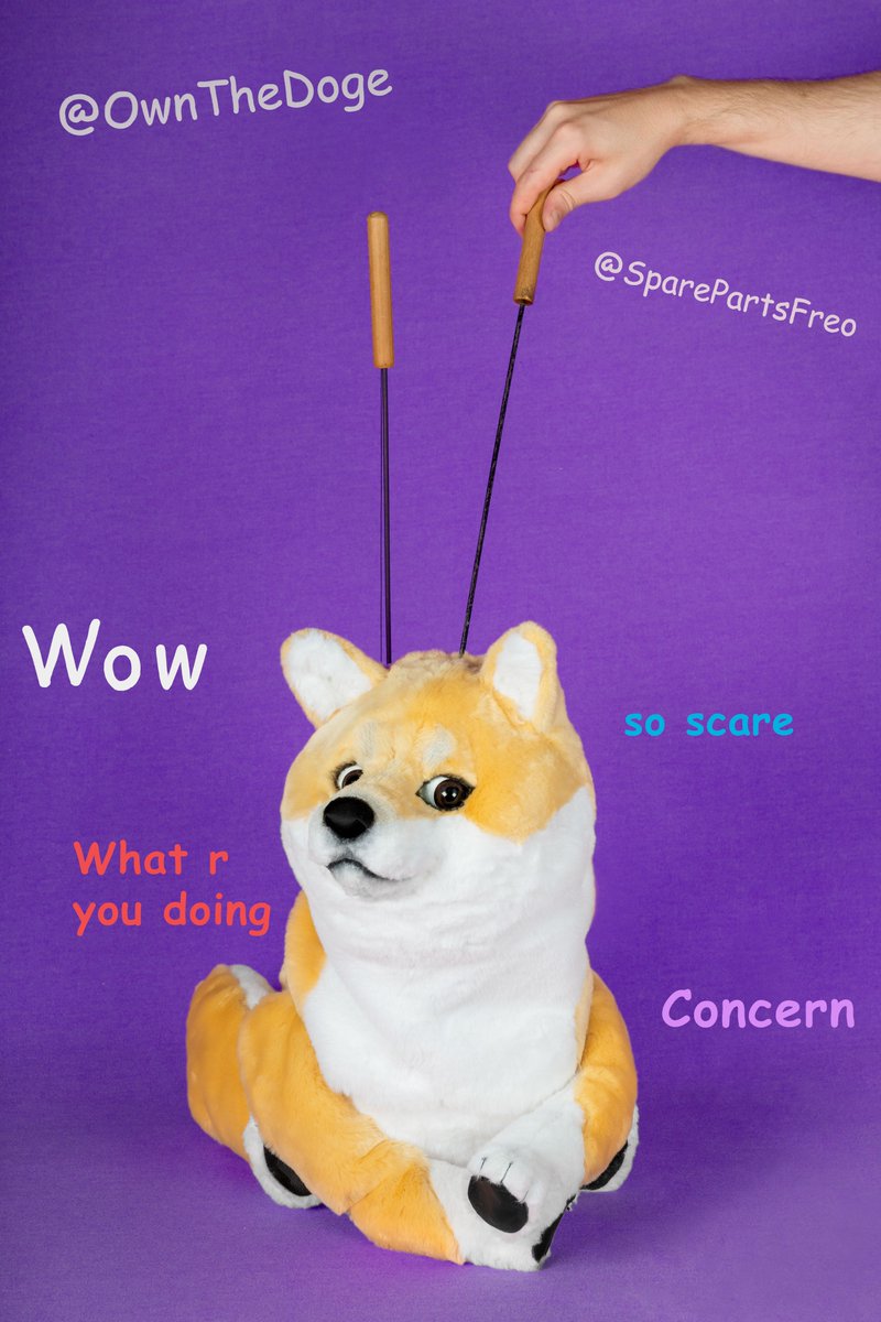 Let's try this NFT giveaway thing again. 

Like, retweet, and tag a friend in a comment on this post.

Follow us, <a href="/ownthedoge/">Own The Doge 🐶🖼</a> and <a href="/MyNameIsNiche/">NicheReference</a>.

In 48 hours time, someone will win this Rare Doge NFT (1/4)

BTW, the #dogepuppet is very real! @thedogepuppet on TikTok...