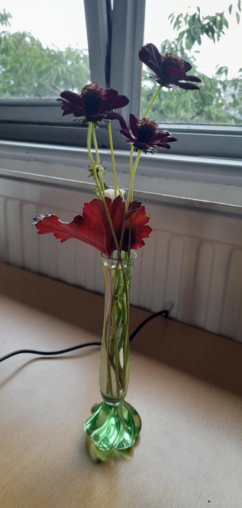 Veronica Bailey tweet media