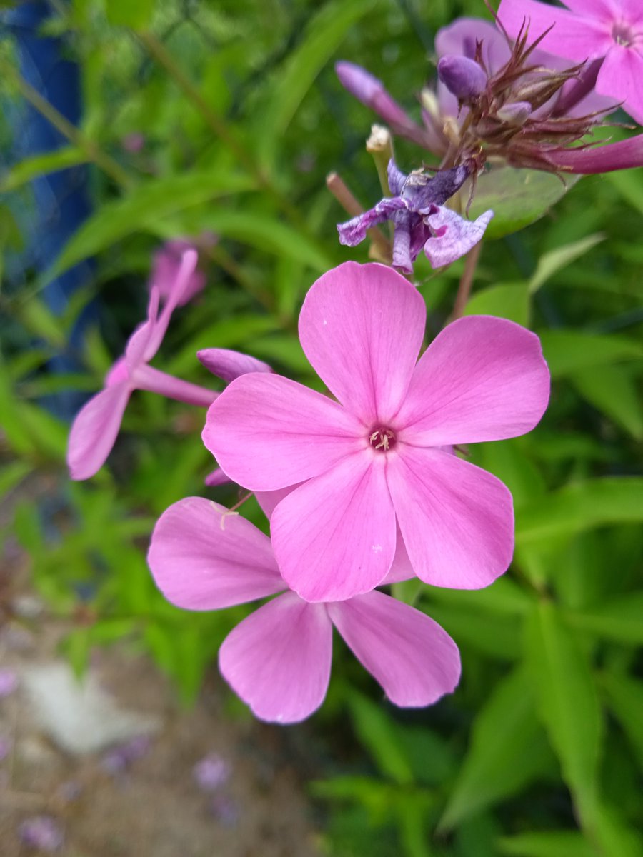 TheMessMess's tweet image. 