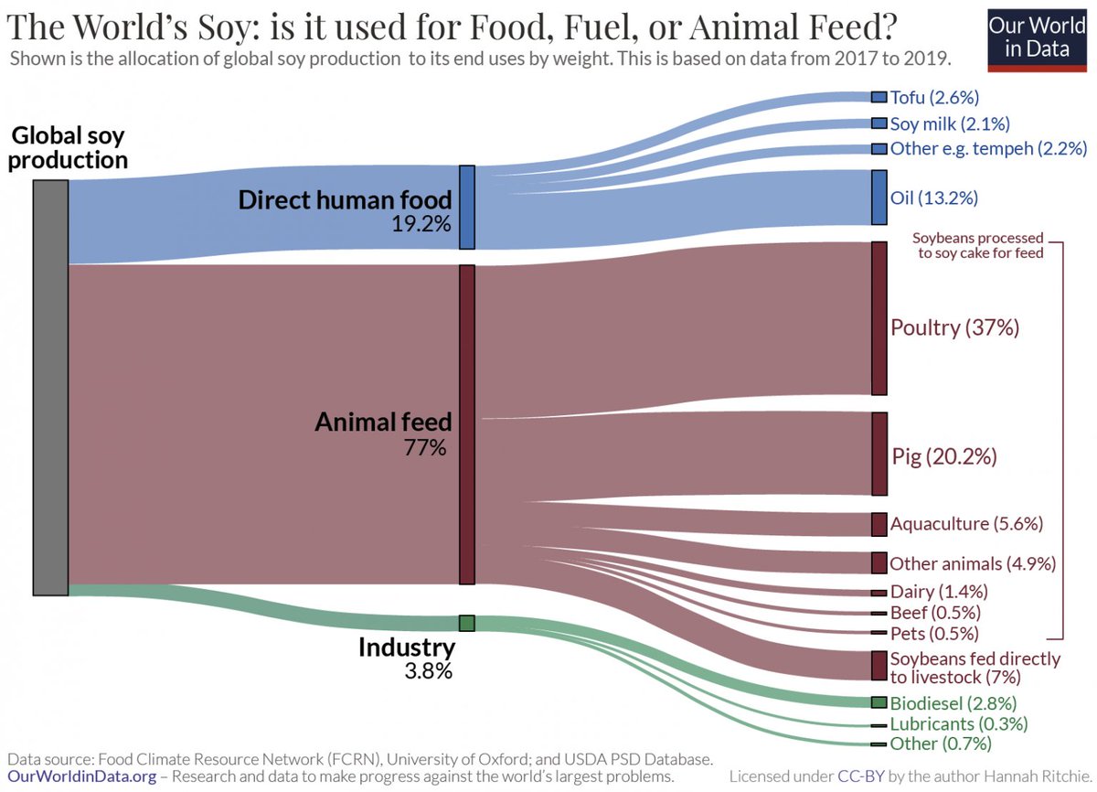 Some people out here genuinely think that eating meat is better than soy-based meat alternatives because "soy is bad for the environment." 🤔
Ahem. More than 3/4 of all soy grown worldwide goes to animal feed, aka meat.