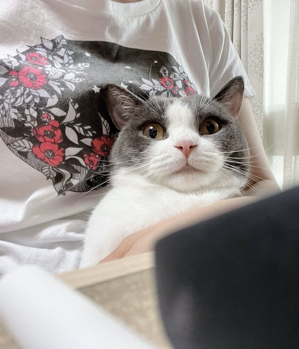 Popular Tweets Of びっけ 極彩の家9巻7 25発売 4 Whotwi Graphical Twitter Analysis Popular Tweets Of びっけ 極彩の家9巻7 25発売 4 Whotwi Graphical Twitter Analysis