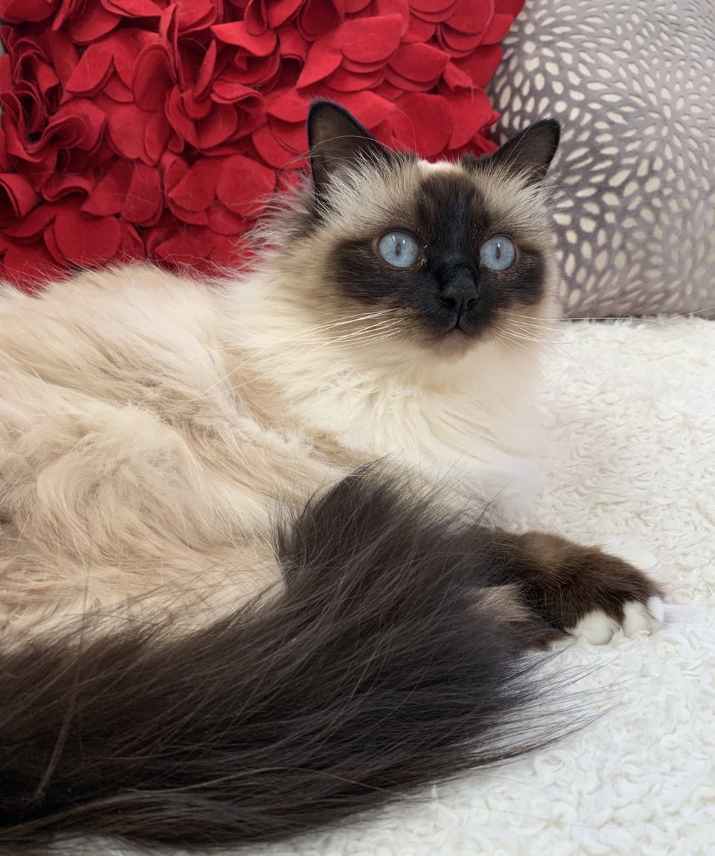 Elizabeth Griffith tweet media