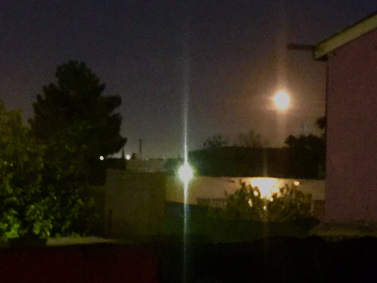 No les pasa que simplemente tomar fotos de este estilo es.. tan.. 🤌✨