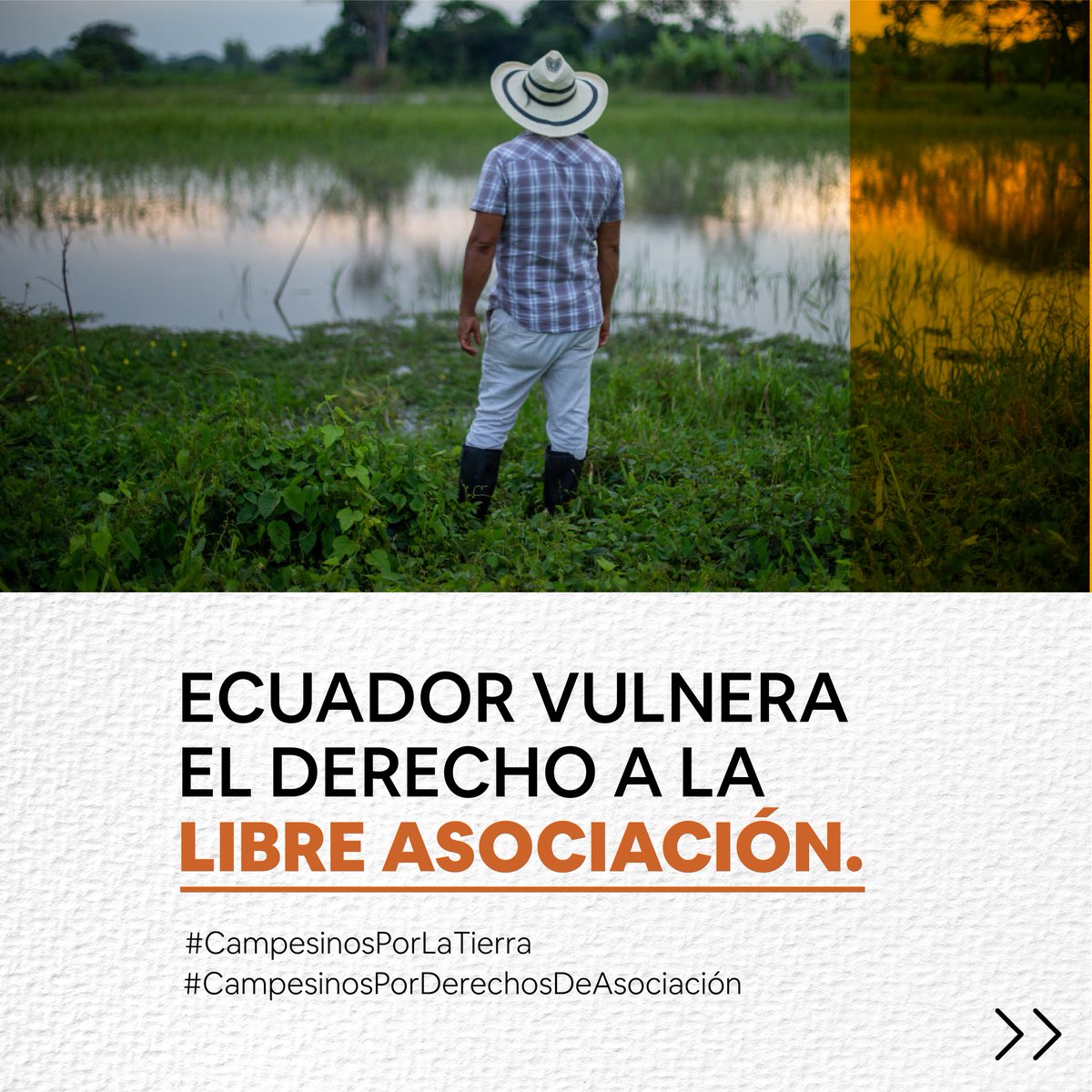 coopdocs's tweet photo. #CampesinosPorLaTierra
#CampesinosPorDerechosDeAsociación

“Toda persona tiene derecho a la libertad de reunión y de asociación pacíficas. Nadie podrá ser obligado a pertenecer a una asociación.”

Art. 20 Declaración Universal de #DerechosHumanos
#JusticiaParaAsomac https://t.co/hlrULITLfw