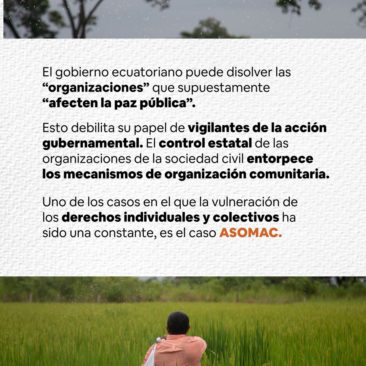 coopdocs's tweet photo. #CampesinosPorLaTierra
#CampesinosPorDerechosDeAsociación

“Toda persona tiene derecho a la libertad de reunión y de asociación pacíficas. Nadie podrá ser obligado a pertenecer a una asociación.”

Art. 20 Declaración Universal de #DerechosHumanos
#JusticiaParaAsomac https://t.co/hlrULITLfw