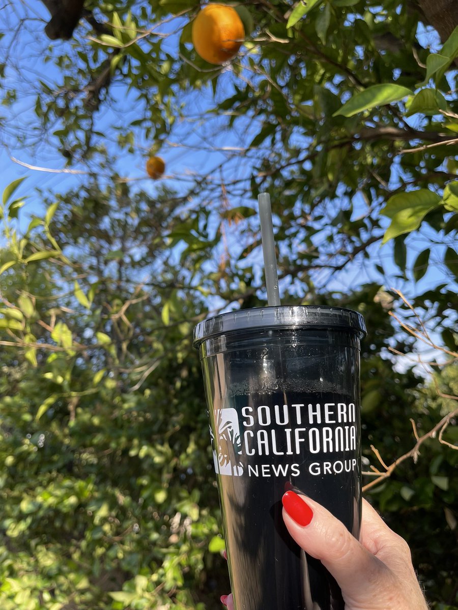 Michele Raphael, MA, RYT tweet media