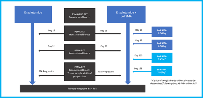 162/162 randomised on the ENZAp trial. Primary endpoint PSA-PFS enzalutamide vs enzalutamide + Lu PSMA-617. Huge translational side. Matched serial PSMA (FDG) PET, SPECT, RECIST, CTC, ctDNA - prognostic, predictive and interim response biomarkers. Thx everyone involved!