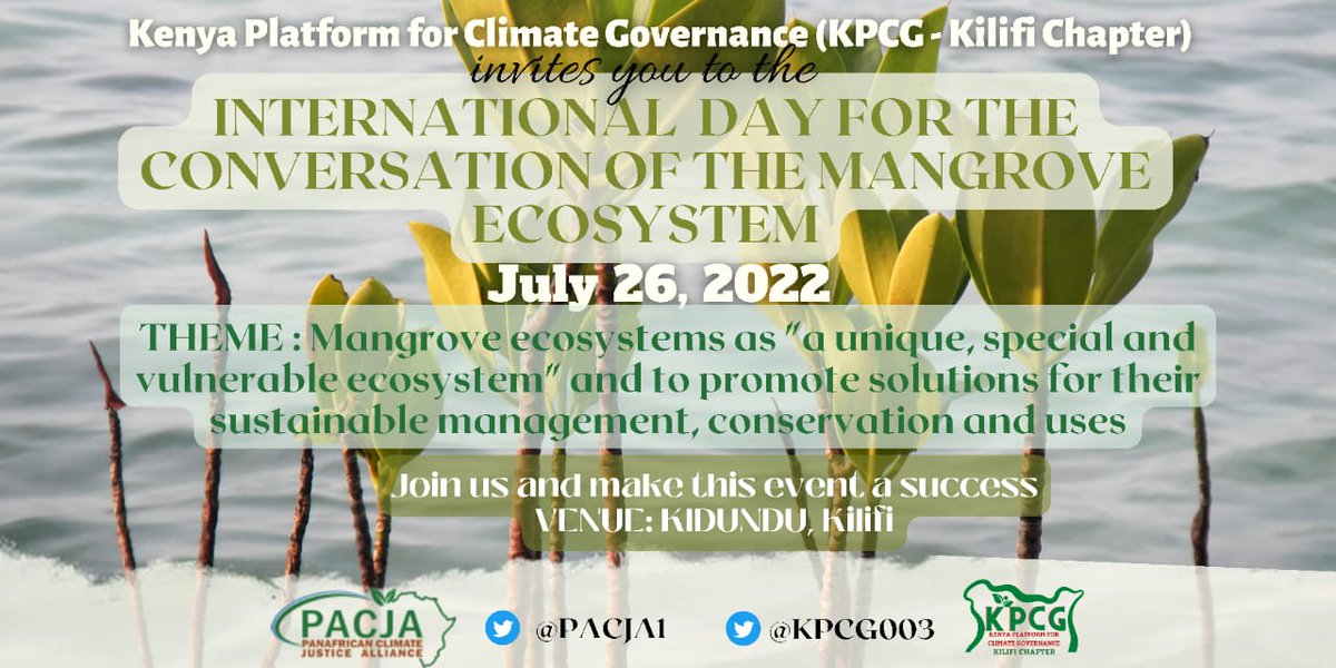 BrianMisiati's tweet image. Not only do they prevent coastal erosion and provide a buffer against storm surge, they also absorb about four times more carbon than their terrestrial counterparts, making them especially important in tackling climate change.

#MangroveDay