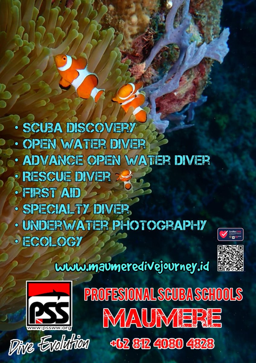 divejourney's tweet photo. Want to learn scuba diving ?
Come and join us in maumere of flores island
#psspeople
#pssindonesia
#pssinstructor https://t.co/PRAdNY2NJ0