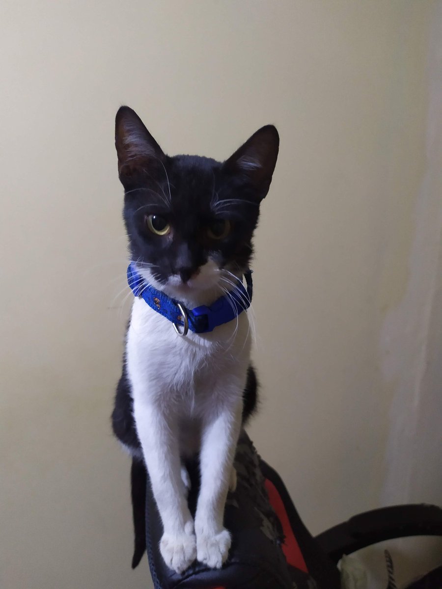 Helmut_95's tweet image. 😢 Todavía hay esperanza.