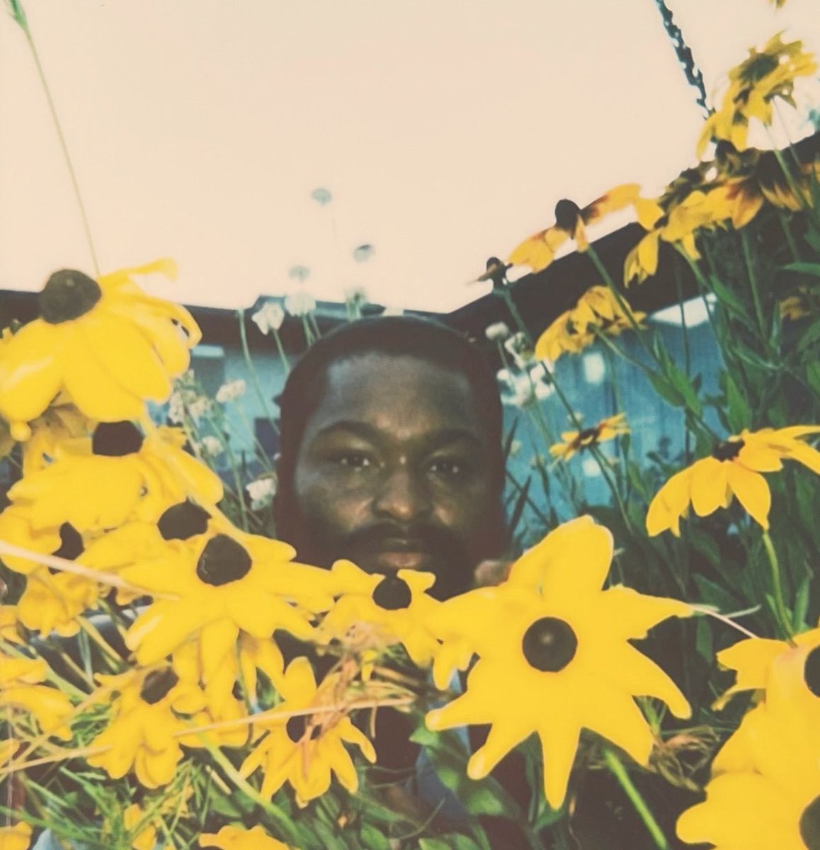 artbysugaa's tweet photo. #filmphotography #photography #photooftheday #nature #blackartist #blackart #fujifilm #vintage https://t.co/G1pfLQivep