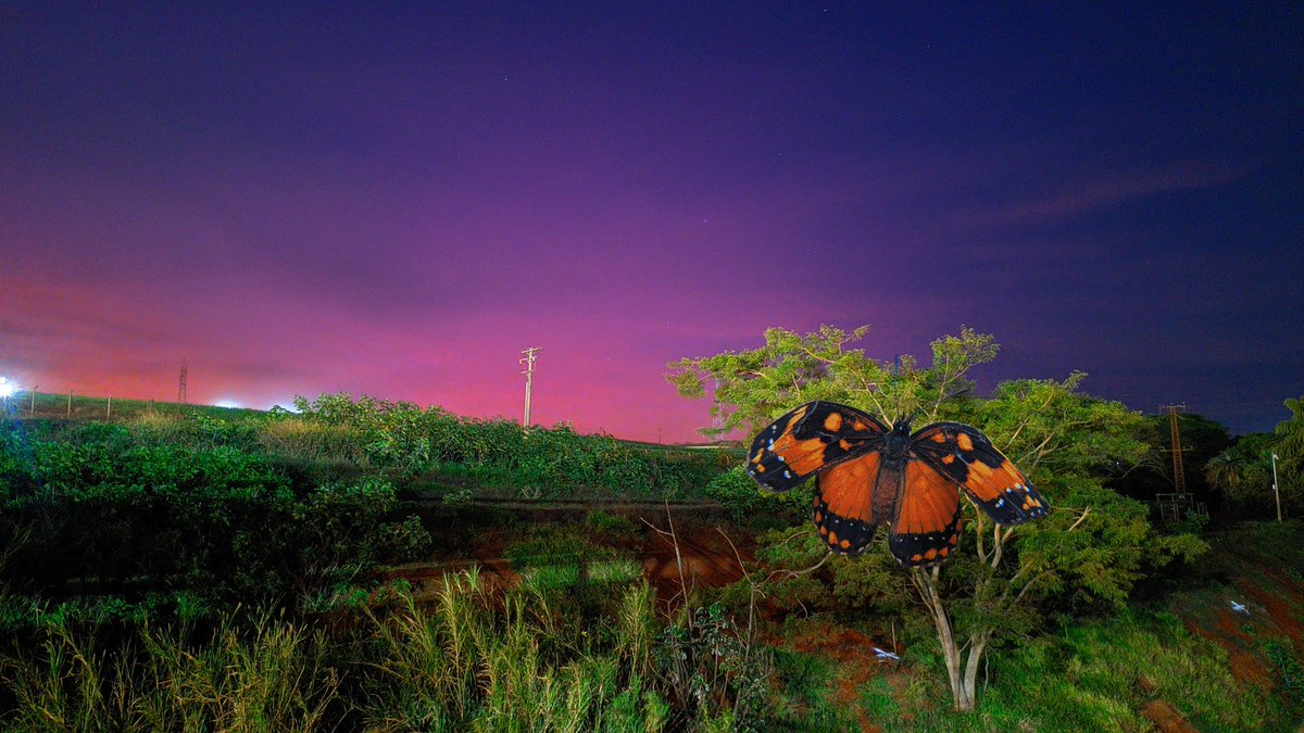 nft_incredible1's tweet photo. ๐จCaution!!! Giant insects are invading the city๐จ
#NFT #NFTdrop #nftart #NFTProjects #nftcollector #NFTCommmunity #nftphotography #nftcollectors #NFTsales #nftinsect #nftmobilephotography @opensea
Invasive Insects Collection
https://t.co/b6odSCES6q https://t.co/CBtq0SNL0O