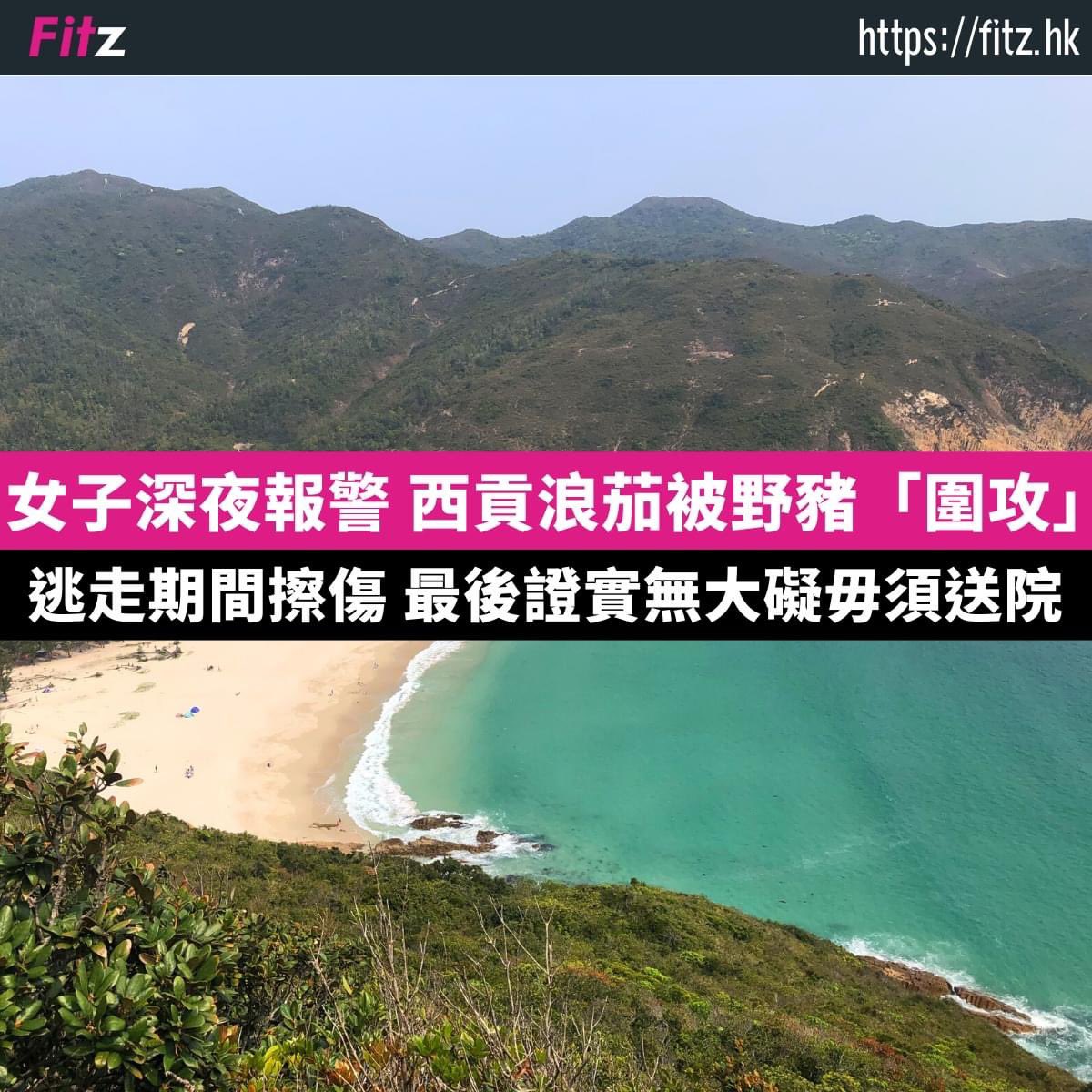 b3108's tweet image. [#hkproblems] A woman (presumably camping) called 999 overnight from Long Ké Beach in Sai Kung claiming that she was “surrounded by wild boars”.

🙄