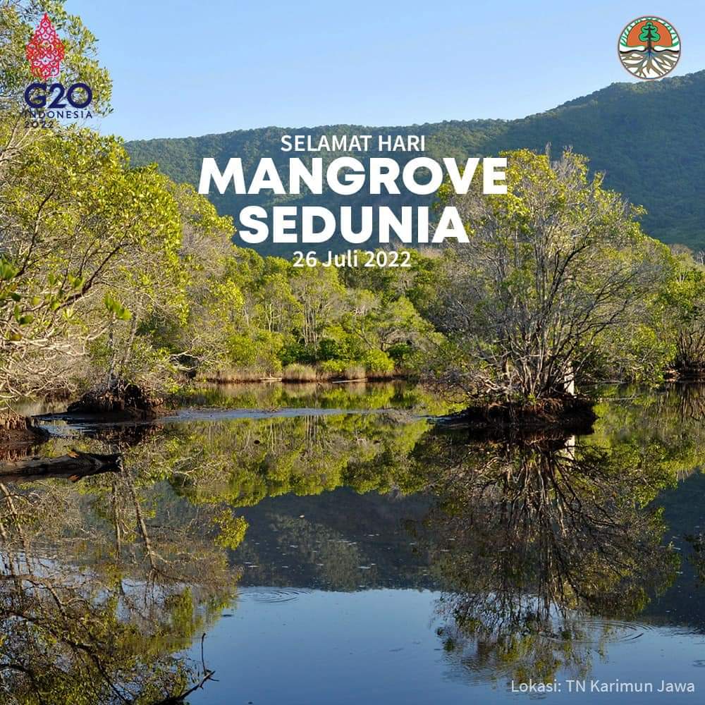 SitiNurbayaLHK's tweet photo. Selamat Hari Mangrove Sedunia https://t.co/CeuxVzg161