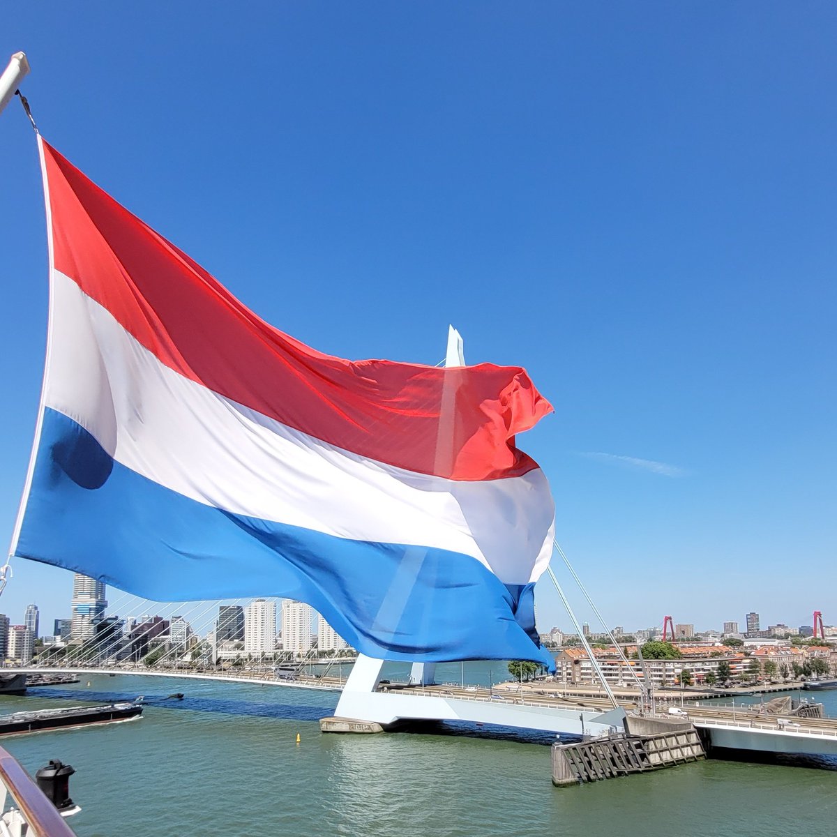 cityhoppers's tweet photo. Farewell Rotterdam 🚢 24th of July 2022 🇳🇱 https://t.co/8w3HnR4TGM