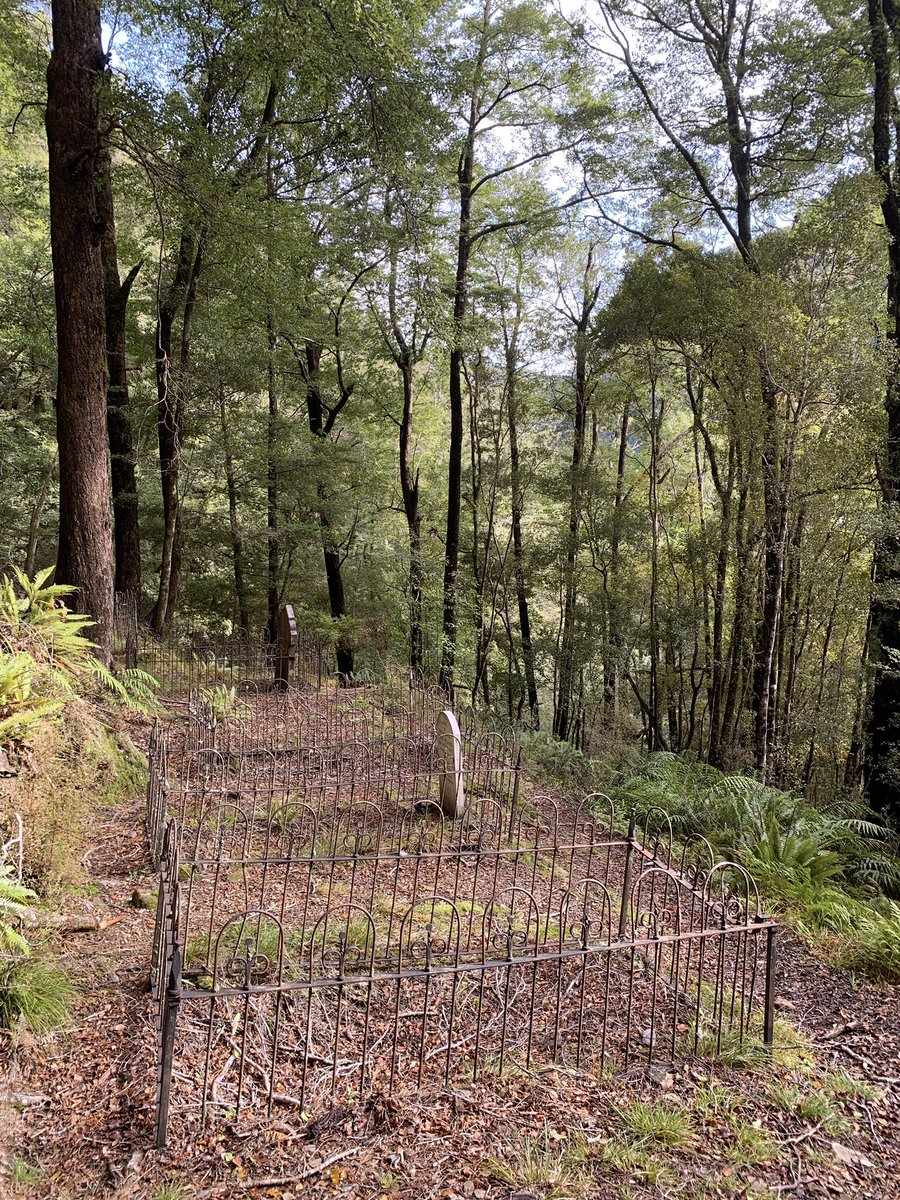 NeilDHamilton's tweet photo. If you’ve got to be dead, there are far worse places to end up. Might as well feed the trees and enjoy the tranquility. https://t.co/3khstZ2fAG