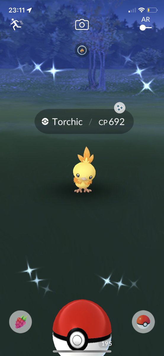 FulSensei's tweet photo. So until I get a new phone I won't play as usual, because my screen goes crazy with the touch screen apparently when my phone gets warm/hot, but still managed to get me a #ShinyTorchic ✨🐥 tonight #ShinyPokémon #PokémonGO https://t.co/2SGkB4lTrQ
