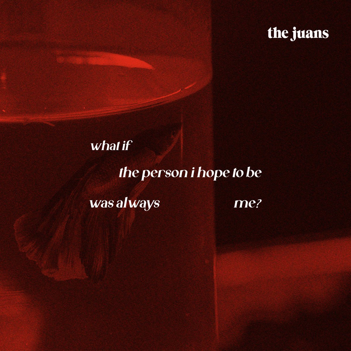 TheJuans_BAND's tweet photo. 👤
Announcement: 07.27.2022 https://t.co/jASXdSORf4