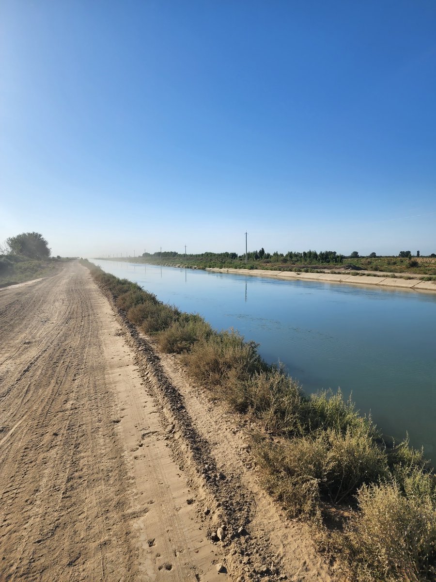 Derek de Stacpoole tweet media