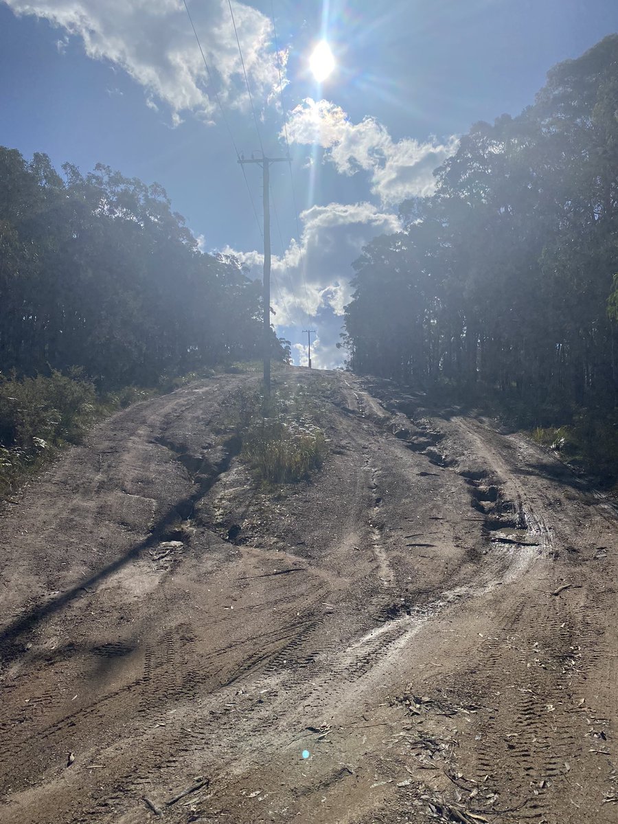 75_hefty's tweet photo. Exploring new trails today 🤘 and found a nice hill mid run fir a few hill sprints https://t.co/4x1jk2898t
