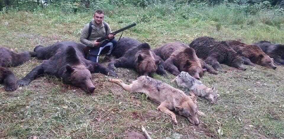 domdyer70's tweet photo. For one man to celebrate such cruelty for pleasure makes me ashamed of human race https://t.co/OmbEhMhIfJ