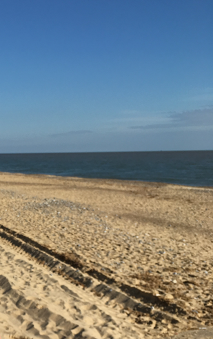 EnvAgencyAnglia's tweet photo. Schools out for Summer!
Are you going to the beach today?
We all have a role to play in keeping our beaches and bathing waters clean.
Inspire others this summer with positive actions to protect the beach environment.
Like taking your litter home with you.
#binit4beaches https://t.co/Ee1bgeePfU