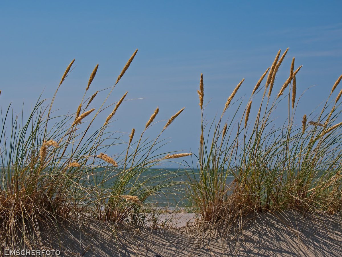 thisdigitaldark's tweet image. Sehr schön war´s mit @Plappertante auf #Baltrum....
#Fotografie
#Nordsee
#travelphotography