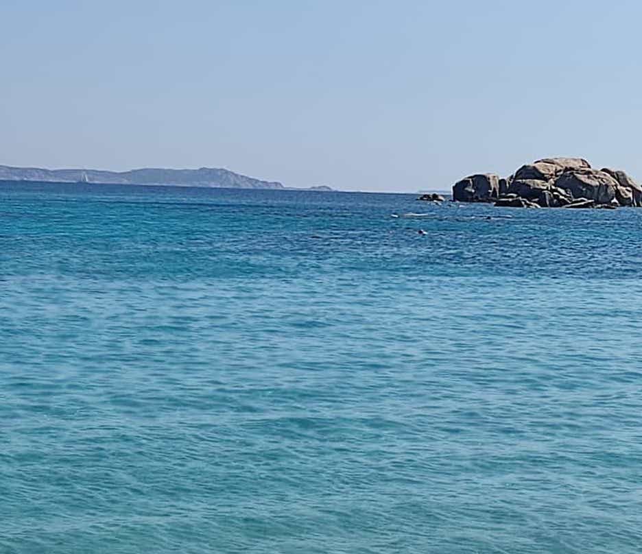 O Signore, Dio dei nostri padri, che ai santi Gioacchino ed Anna hai dato la grazia di generare la Madre del tuo Figlio fatto uomo, per le loro preghiere concedi anche a noi la salvezza promessa al tuo popolo. Proteggi le nostre famiglie. Custodisci tutte le "Anna" Buona giornata