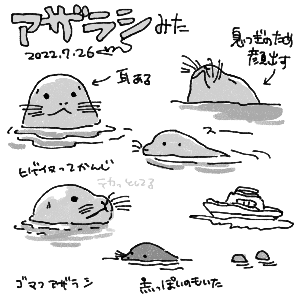 アザラシメモ 