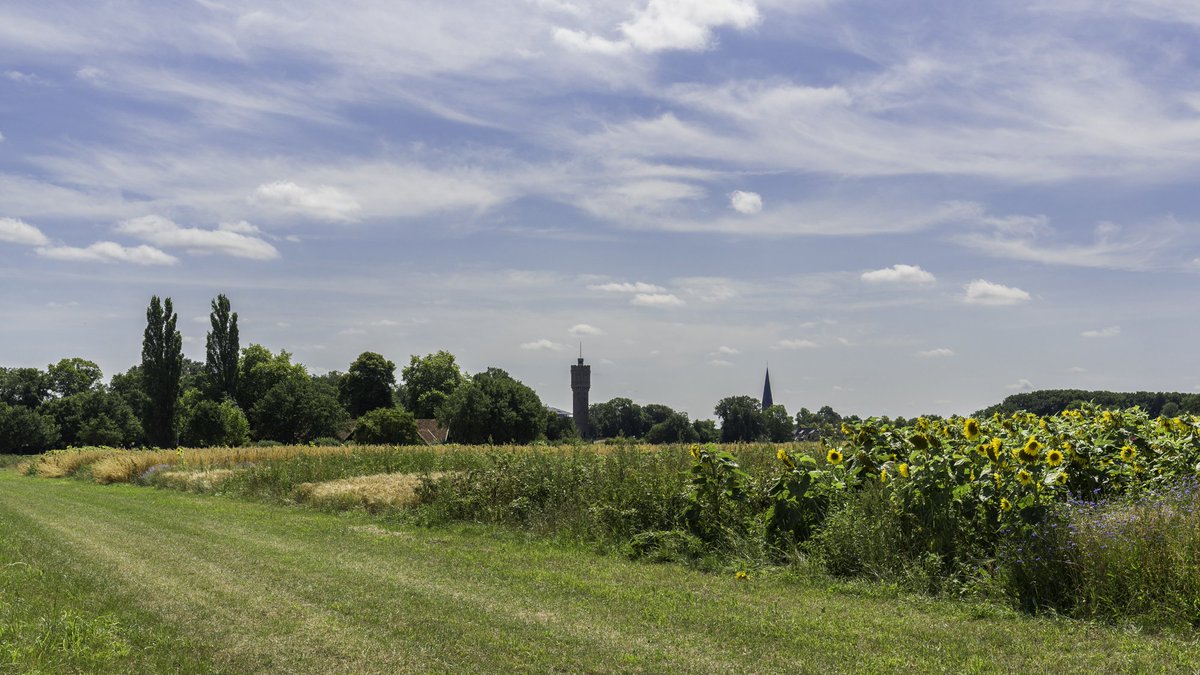 Tijdens de zomerwandeling heeft Piet Brummer prachtige foto's gemaakt van de strokenteelt op de Deldeneresch voor de P(r)achtbedrijvensite van #Twickel: kaart.twickel.nl/erven/de-zende…