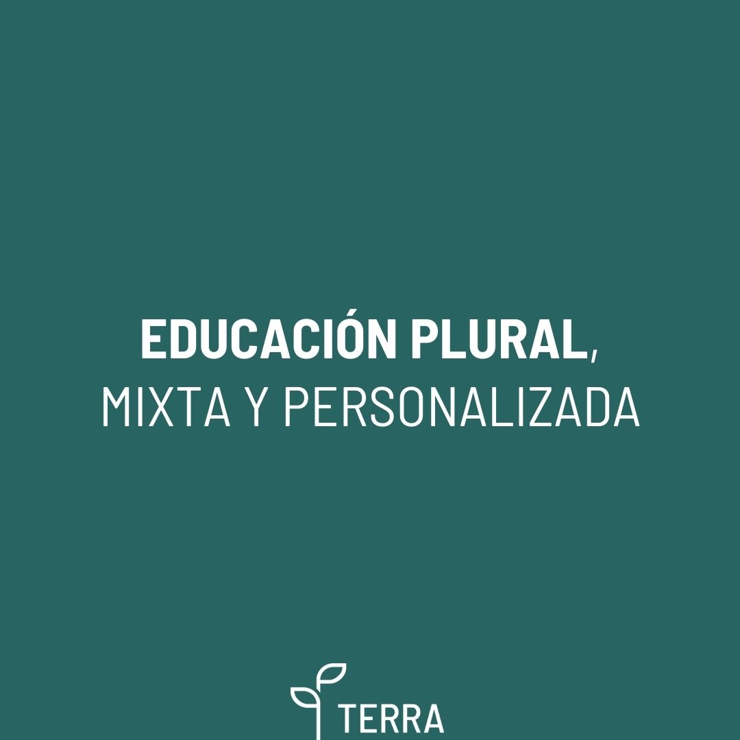 Terra tweet media