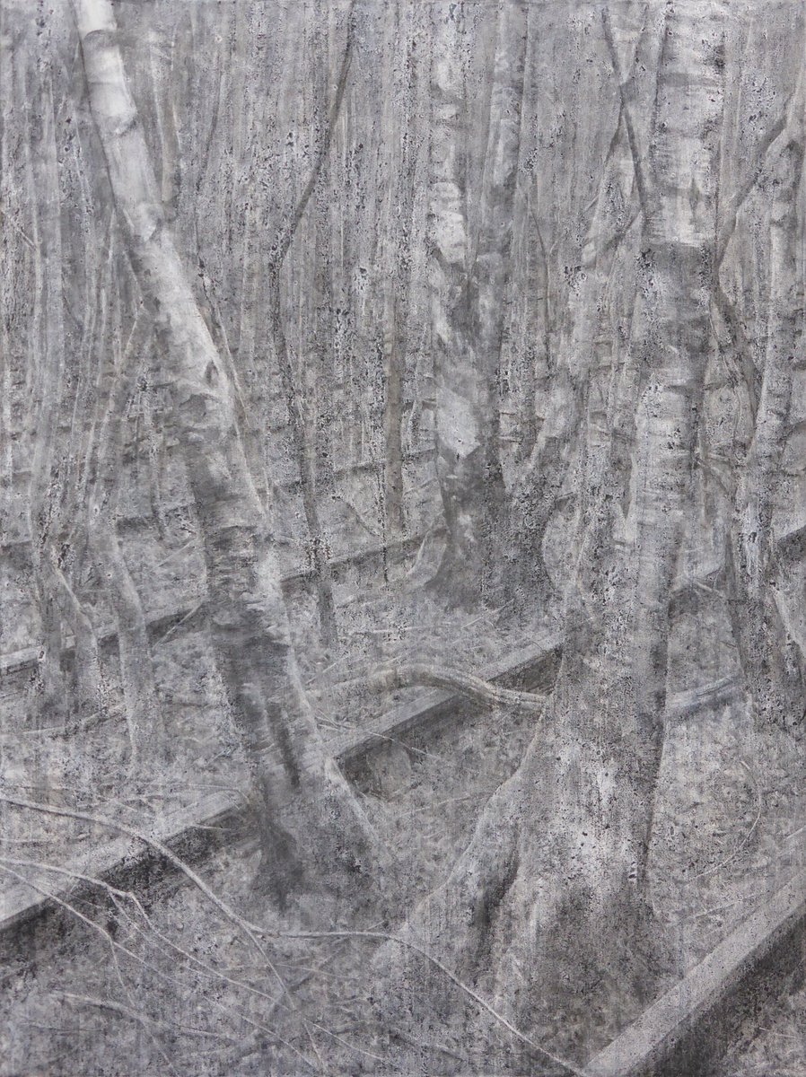 I’m thrilled to say that my charcoal on linen ‘Siding’ (vi) - 102x76cm will be in the forthcoming <a href="/TBWDrawingPrize/">Trinity Buoy Wharf Drawing Prize</a>