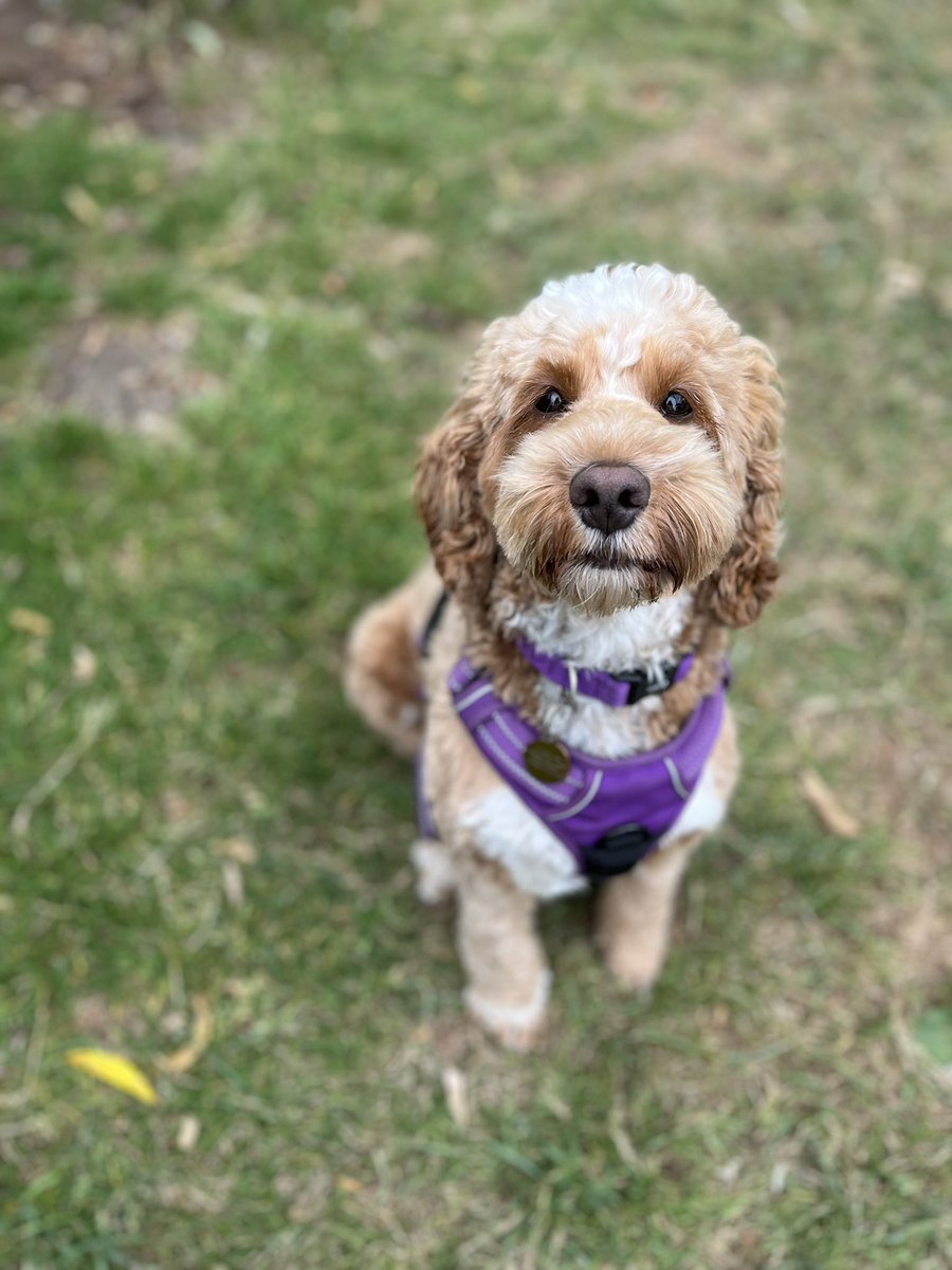 Jess Positive tweet media