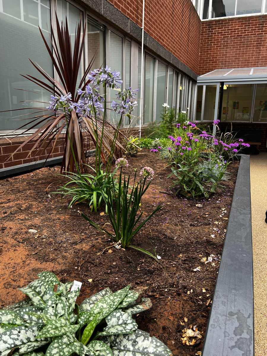 YSTeachingNHS's tweet photo. Our new wellbeing gardens for staff and patients at York Hospital are officially open 🎉

The Trust has invested over £200,000 in the gardens, made possible by a major donation to @YSHospCharity from Yorkshire artist Harland Miller and others including York Rotary and John Lewis. https://t.co/XyykTNE4cy