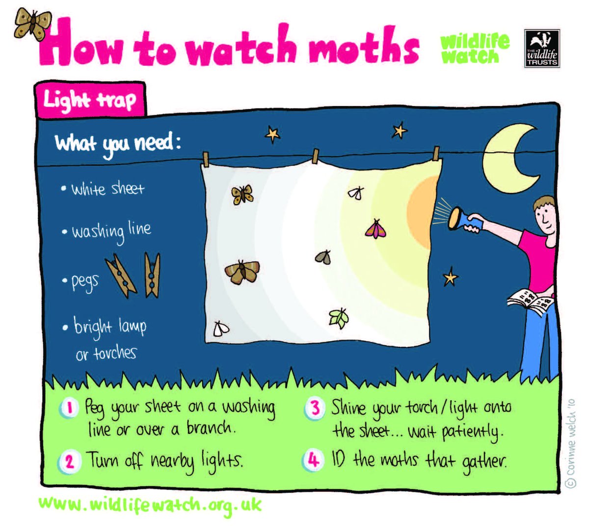 We have many fantastic species of moth here in the UK! Why not try setting up a moth ‘trap’ to see who visits your garden at night? This doesn’t hurt the moths, it simply involves attracting them to a light or food source so you can take a closer look 🔎 #NationalMothWeek
