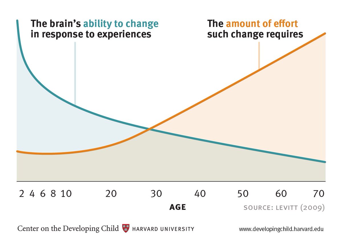 Earlychildhood's tweet photo. Our brains are at their most malleable during #EarlyChildhood, which is why the experiences we have during that time are so important. This graph from @HarvardCenter explains it brilliantly. https://t.co/61H4898p0l