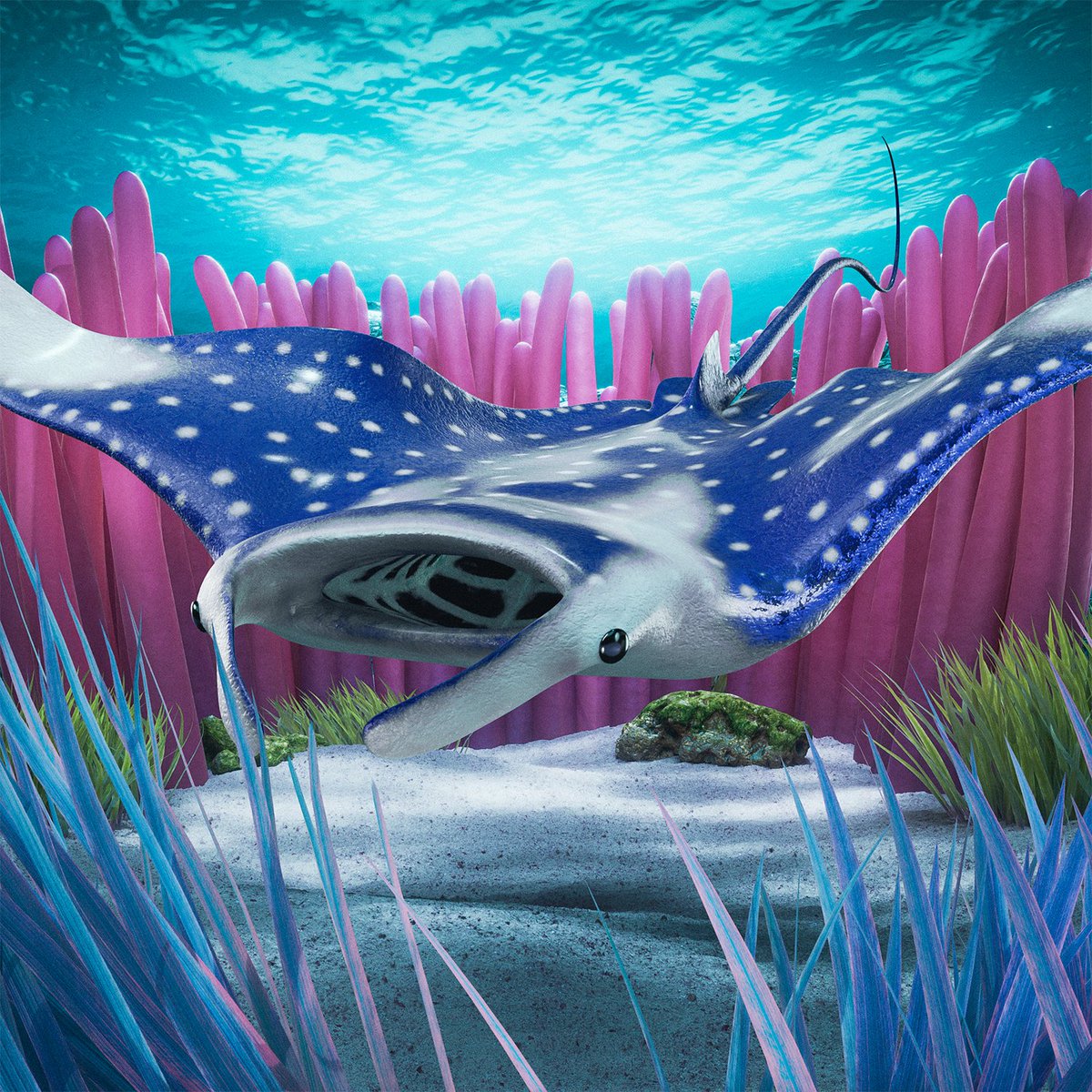 Manta Ray #888 was just bought 🙌 Congrats to the new owner!

For JUST 0.09 SOL ($3.23) 💰

The Sea Floor is Rising!
solscan.io/token/CodzxyQe…