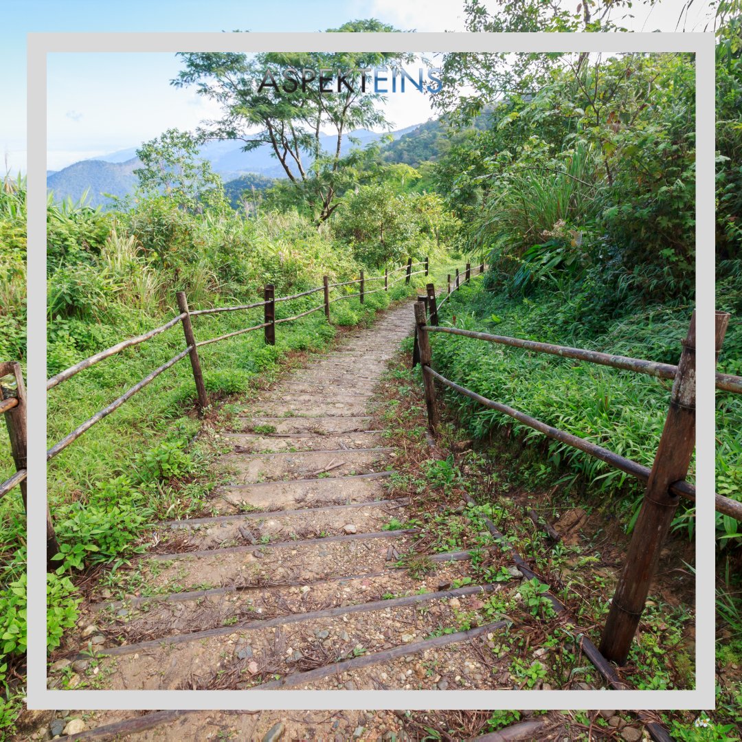 Die Stiftung Kunst und Natur hat gemeinsam mit Aspekteins den digitale Gelände-Infoservice entwickelt der, analoge Spaziergänge durch interessante digitale Informationen anreichert. Mehr dazu: 

aspekteins.com/kunst-trifft-n…