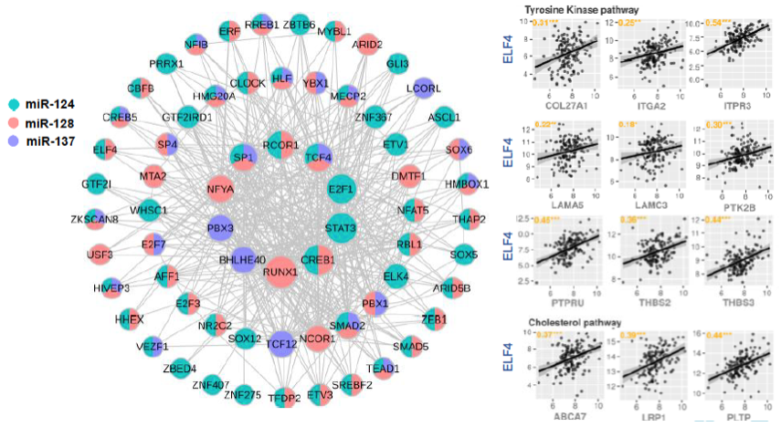 So glad to see our collaboration (<a href="/DerGuardia/">Gabriela Der Agopian Guardia</a> <a href="/pafgalante/">Pedro A.F. Galante 🧬🚴🇧🇷</a>) with <a href="/LOFPenalva/">Luiz O Penalva</a> published in Neuro-Oncology. 
ELF4 is a critical component of a miRNA-transcription factor network and is a bridge regulator of glioblastoma receptor signaling and lipid dynamics academic.oup.com/neuro-oncology…