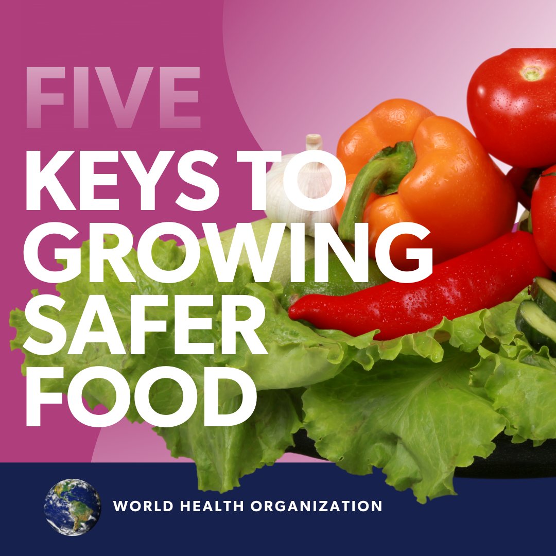 Savvy Food Safety, Inc. on Twitter: Savvy Food Safety, Inc. on Twitter: